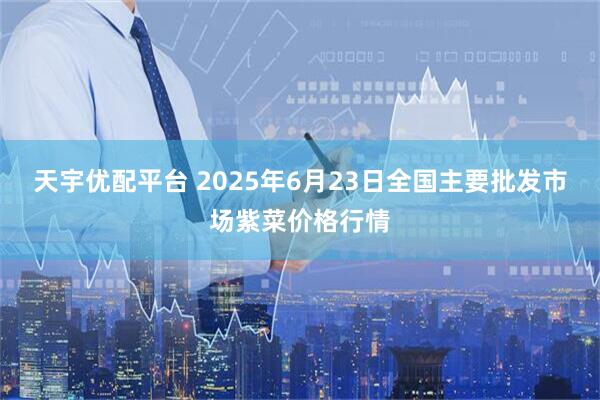 天宇优配平台 2025年6月23日全国主要批发市场紫菜价格行情