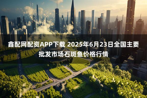 鑫配网配资APP下载 2025年6月23日全国主要批发市场石斑鱼价格行情