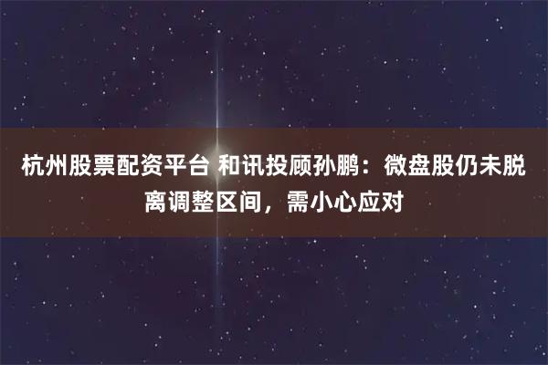 杭州股票配资平台 和讯投顾孙鹏：微盘股仍未脱离调整区间，需小心应对