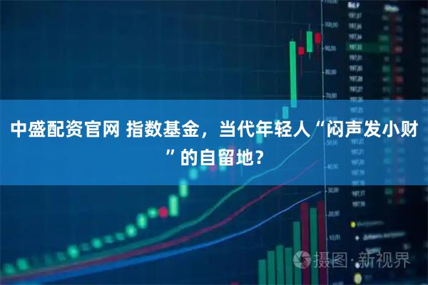 中盛配资官网 指数基金，当代年轻人“闷声发小财”的自留地？