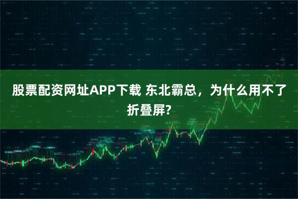 股票配资网址APP下载 东北霸总，为什么用不了折叠屏?